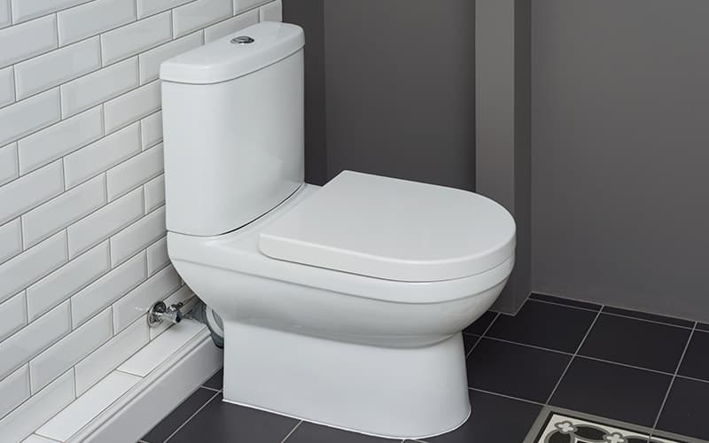 WC baza